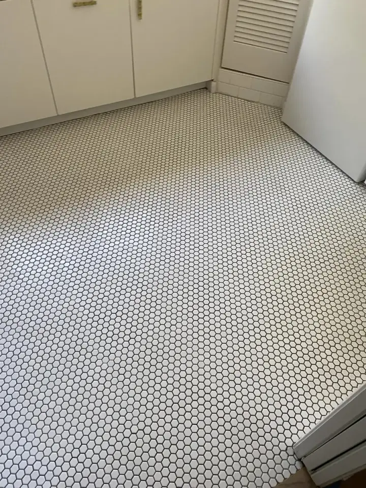 Canales Perfection cleaning project 137