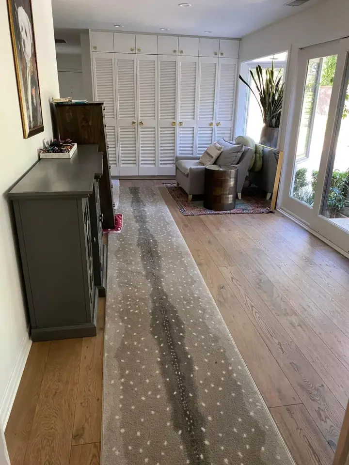 Canales Perfection cleaning project 152