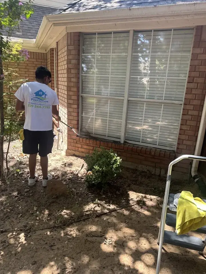 Canales Perfection cleaning project 231